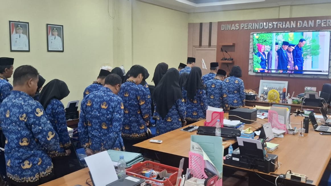 WhatsApp_Image_2025-05-20_at_10.55.59.jpeg